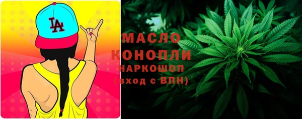 тгк Бородино
