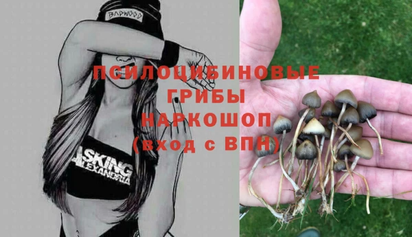 MDMA Premium VHQ Бугульма