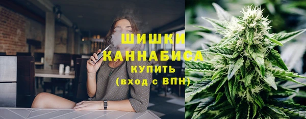 молекула духа Бронницы